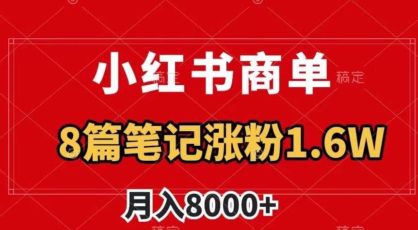 小红书商单最新玩法，8篇笔记涨粉1.6w，作品制作简单，月入8000+【揭秘】-讯领网创