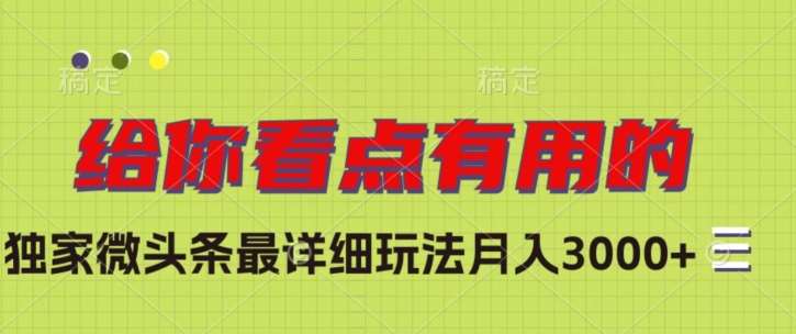 独家微头条最详细玩法，月入3000+【揭秘】-讯领网创