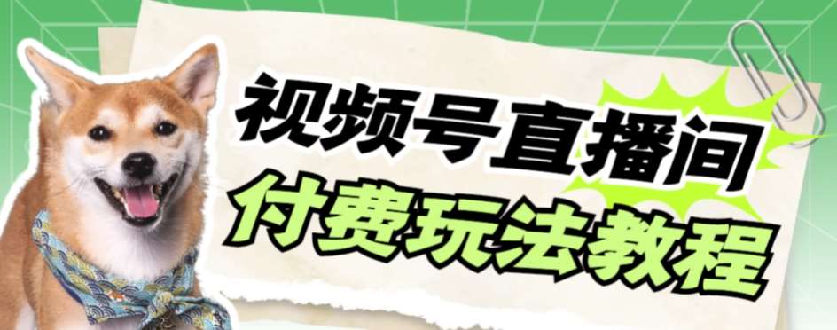 视频号美女付费无人直播，轻松日入500+【详细玩法教程】-讯领网创