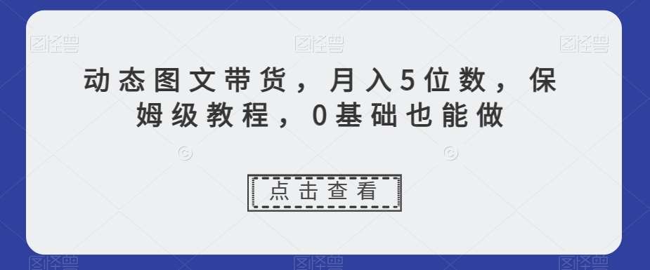 动态图文带货，月入5位数，保姆级教程，0基础也能做【揭秘】-讯领网创