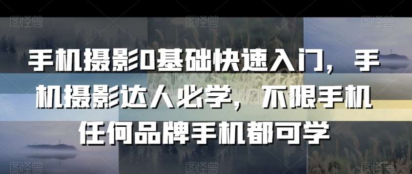 手机摄影0基础快速入门，手机摄影达人必学，不限手机任何品牌手机都可学-讯领网创