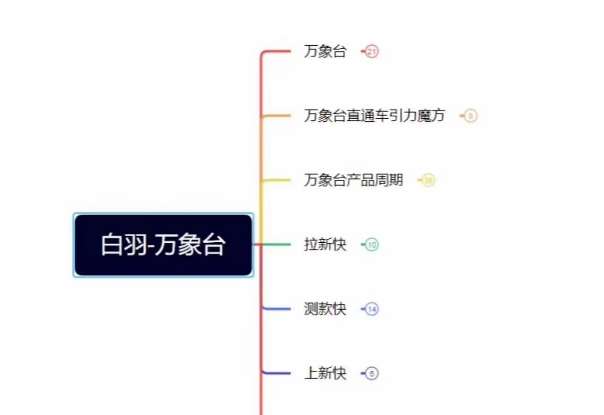 白羽·直引万搜索全篇，从0-1，多个类目实操经验总结付费-讯领网创