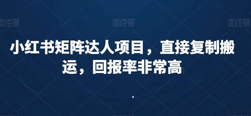 小红书矩阵达人项目，直接复制搬运，回报率非常高-讯领网创