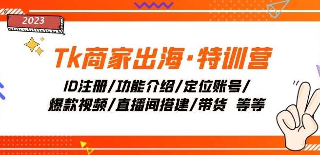 Tk商家出海·特训营：ID注册/功能介绍/定位账号/爆款视频/直播间搭建/带货-讯领网创