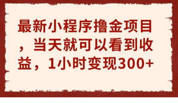 最新小程序撸金项目，当天就可以看到收益，1小时变现300+【揭秘】-讯领网创