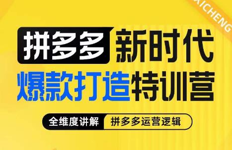 玺承·拼多多新时代爆款打造特训营，全维度讲解拼多多运营逻辑-讯领网创