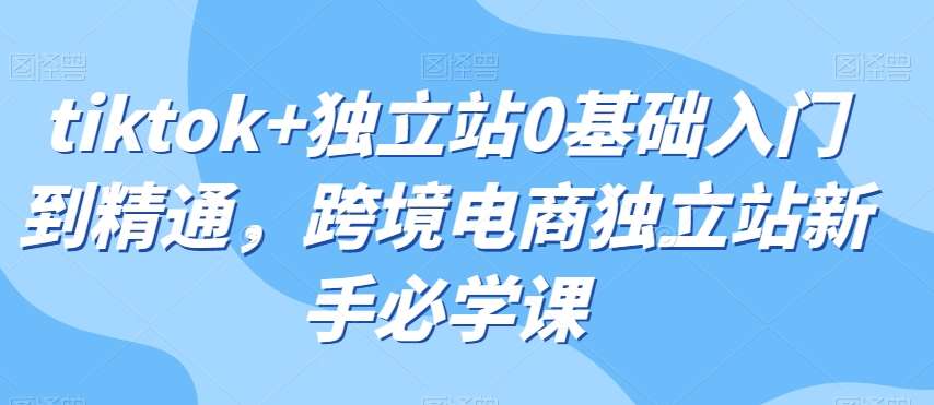 tiktok+独立站0基础入门到精通，跨境电商独立站新手必学课-讯领网创