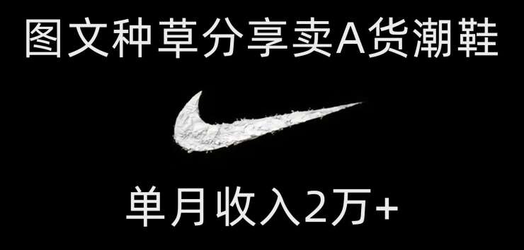 靠图文种草分享卖A货潮鞋，每天一小时，单月收入2万+【揭秘】-讯领网创