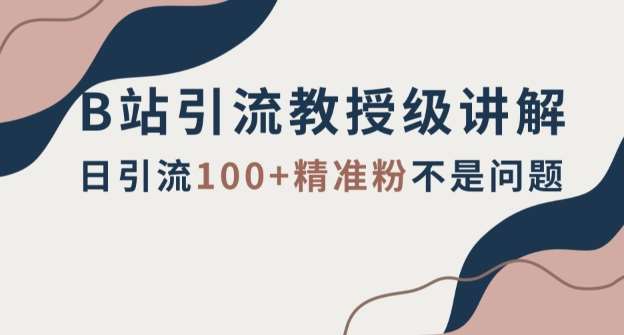 B站引流教授级讲解，细节满满，日引流100+精准粉不是问题【揭秘】-讯领网创