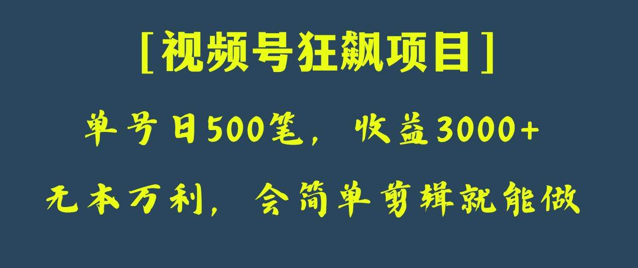 日收款500笔，纯利润3000+，视频号狂飙项目！-讯领网创