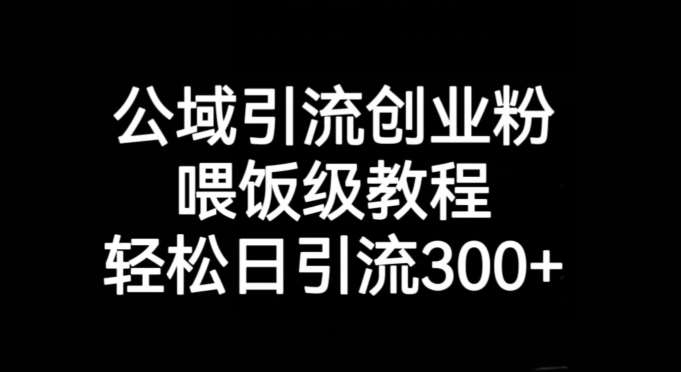 公域引流创业粉，喂饭级教程，轻松日引流300+【揭秘】-讯领网创