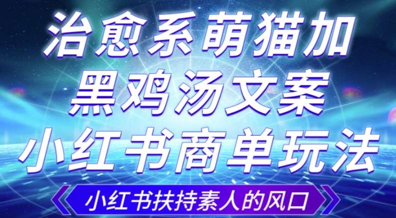治愈系萌猫加+黑鸡汤文案，小红书商单玩法，3~10天涨到1000粉，一单200左右-讯领网创