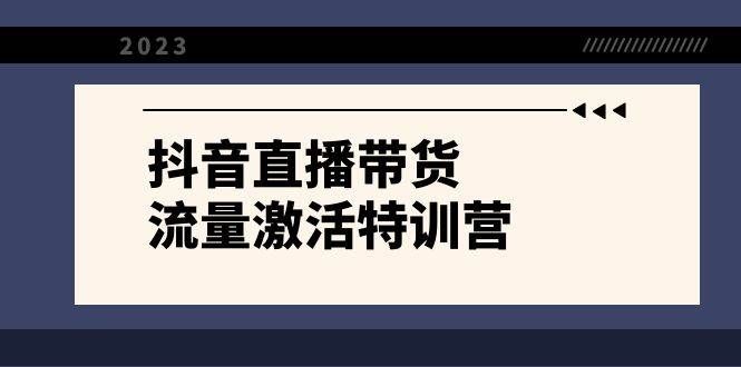 （8185期）抖音直播带货-流量激活特训营，入行新手小白主播必学（21节课+资料）-讯领网创