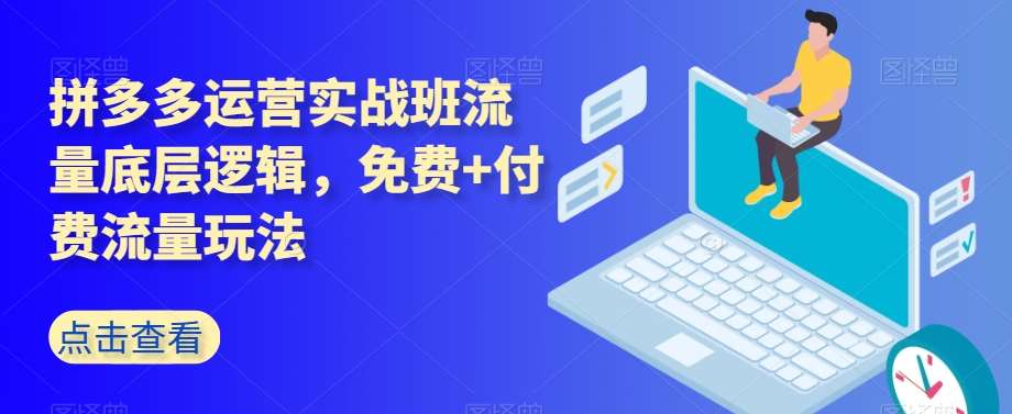 拼多多运营实战班流量底层逻辑，免费+付费流量玩法-讯领网创