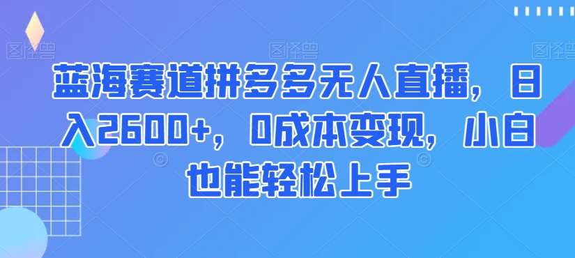 蓝海赛道拼多多无人直播，日入2600+，0成本变现，小白也能轻松上手【揭秘】-讯领网创
