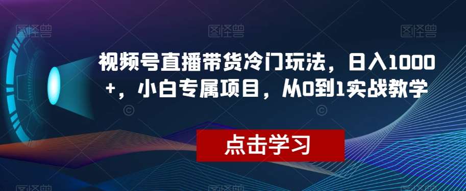 视频号直播带货冷门玩法，日入1000+，小白专属项目，从0到1实战教学【揭秘】-讯领网创