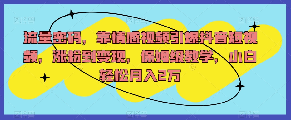 流量密码，靠情感视频引爆抖音短视频，涨粉到变现，保姆级教学，小白轻松月入2万【揭秘】-讯领网创