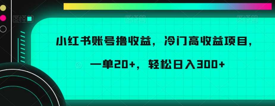 小红书账号撸收益，冷门高收益项目，一单20+，轻松日入300+【揭秘】-讯领网创