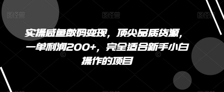 实操咸鱼数码变现，顶尖品质货源，一单利润200+，完全适合新手小白操作的项目【揭秘】-讯领网创