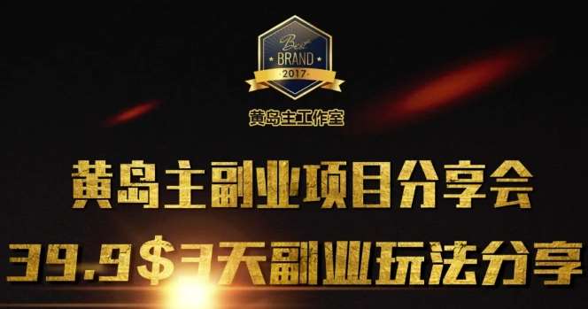 黄岛主副业分享会1期：3天3个副业玩法，速度上车-讯领网创