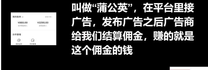 图片[3]-十万个富翁修炼宝典15.单号1k-1.5k，矩阵放大操作-讯领网创