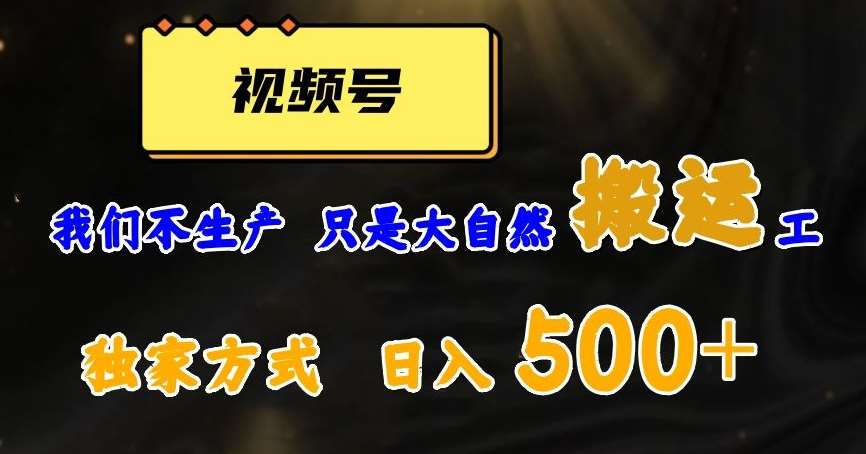 视频号轻松搬运日赚500+，一个1分钟1条原创视频【揭秘】-讯领网创