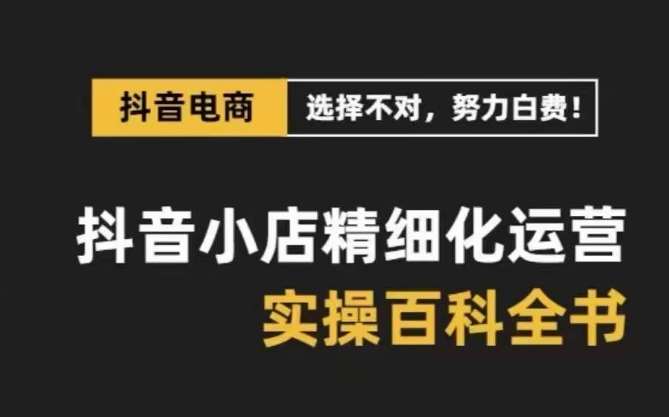 抖音小店精细化运营百科全书，保姆级运营实操讲解-讯领网创