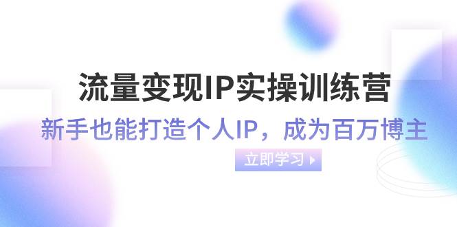 （8134期）流量变现-IP实操训练营：新手也能打造个人IP，成为百万 博主（46节课）-讯领网创