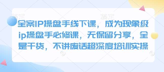 全案IP操盘手线下课，成为现象级ip操盘手必修课，无保留分享，全是干货，不讲废话超深度培训实操-讯领网创