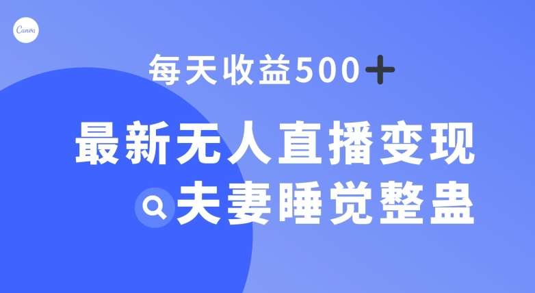 最新无人直播变现，夫妻睡觉整蛊，每天躺赚500+【揭秘】-讯领网创