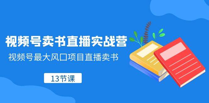 视频号卖书直播实战营，视频号最大风囗项目直播卖书（13节课）-讯领网创