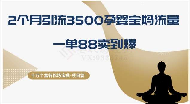 十万个富翁修炼宝典之13.2个月引流3500孕婴宝妈流量，一单88卖到爆-讯领网创