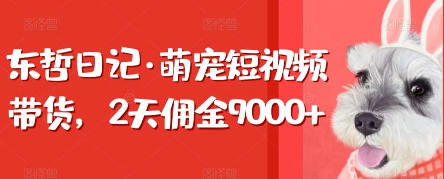 东哲日记·萌宠短视频带货，2天佣金9000+-讯领网创
