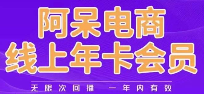 阿呆电商线上年会员，阿呆电商干货分享（更新中）-讯领网创