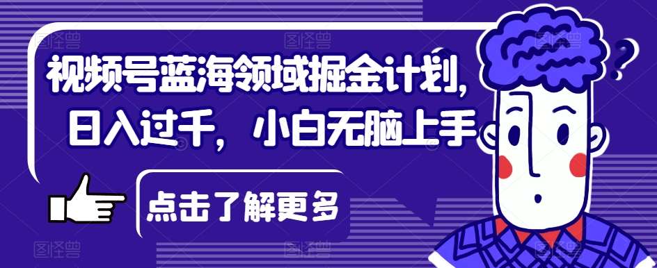 视频号蓝海领域掘金计划，日入过千，小白无脑上手【揭秘】-讯领网创
