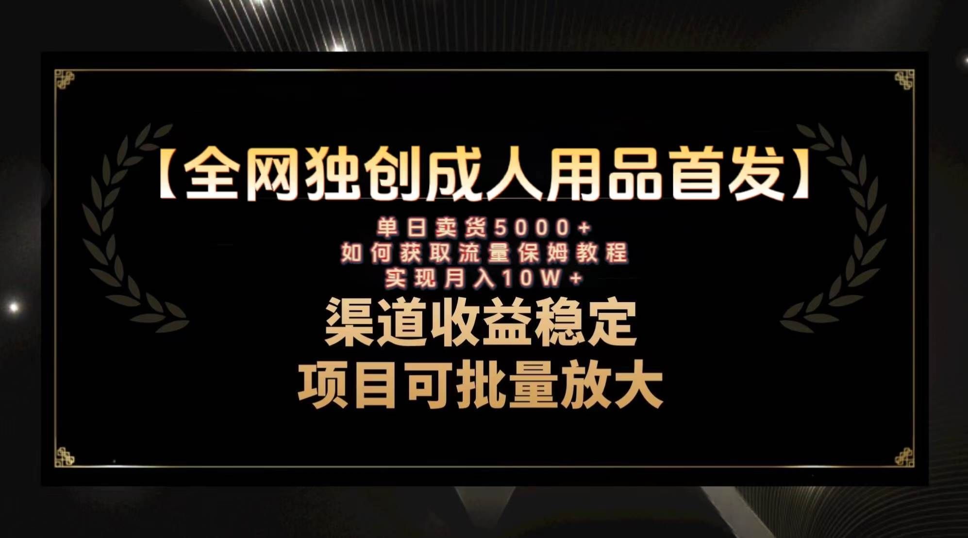 （8128期）最新全网独创首发，成人用品赛道引流获客，月入10w保姆级教程-讯领网创