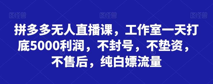 拼多多无人直播课，工作室一天打底5000利润，不封号，不垫资，不售后，纯白嫖流量-讯领网创