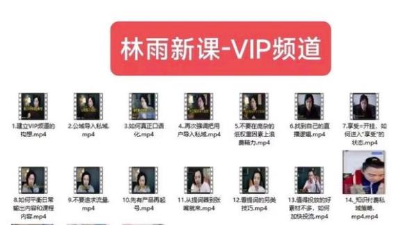 林雨新课VIP频道，玩赚私域/朋友圈/社群-讯领网创