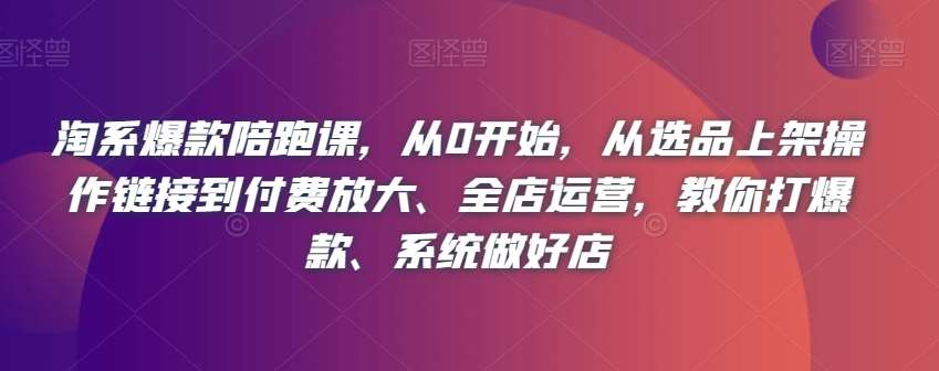 淘系爆款陪跑课，从0开始，从选品上架操作链接到付费放大、全店运营，教你打爆款、系统做好店-讯领网创
