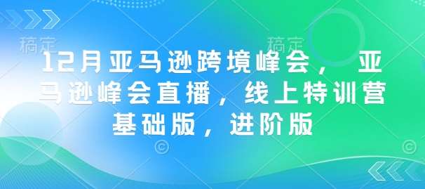 12月亚马逊跨境峰会， 亚马逊峰会直播，线上特训营基础版，进阶版-讯领网创