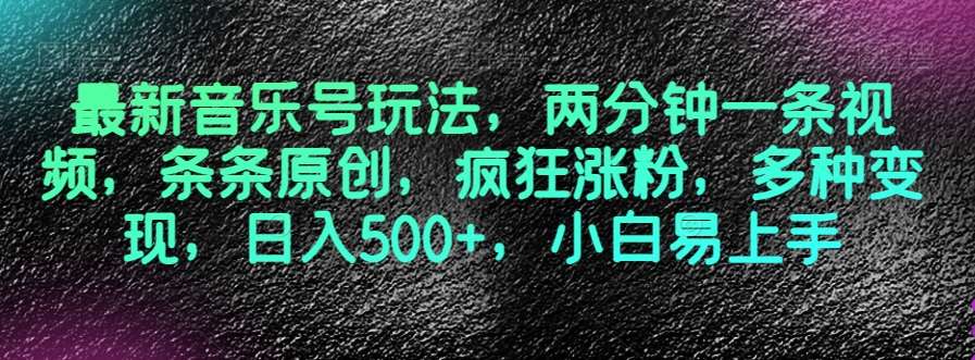 最新音乐号玩法，两分钟一条视频，条条原创，疯狂涨粉，多种变现，日入500+，小白易上手【揭秘】-讯领网创