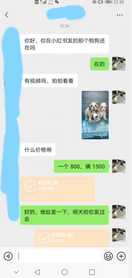 图片[2]-外边收费3980的同城萌宠项目，用最冷门的玩法冲击最热门的市场【揭秘】-讯领网创