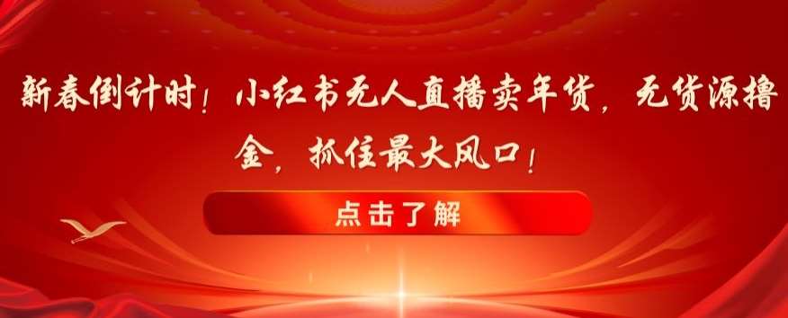 新春倒计时！小红书无人直播卖年货，无货源撸金，抓住最大风口【揭秘】-讯领网创