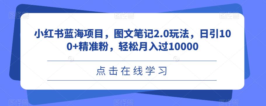小红书蓝海项目，图文笔记2.0玩法，日引100+精准粉，轻松月入过10000【揭秘】-讯领网创