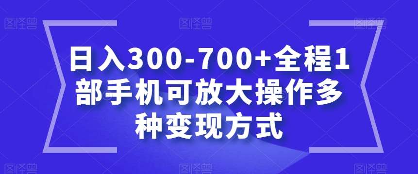 日入300-700+全程1部手机可放大操作多种变现方式【揭秘】-讯领网创