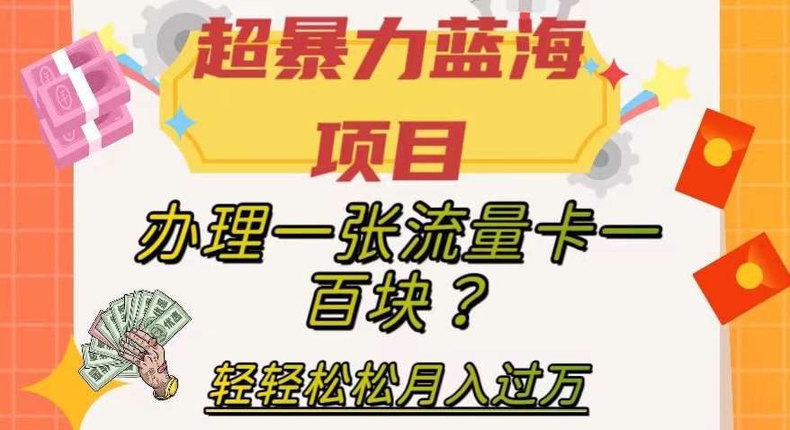 超暴力蓝海项目，办理一张流量卡一百块？轻轻松松月入过万，保姆级教程【揭秘】-讯领网创