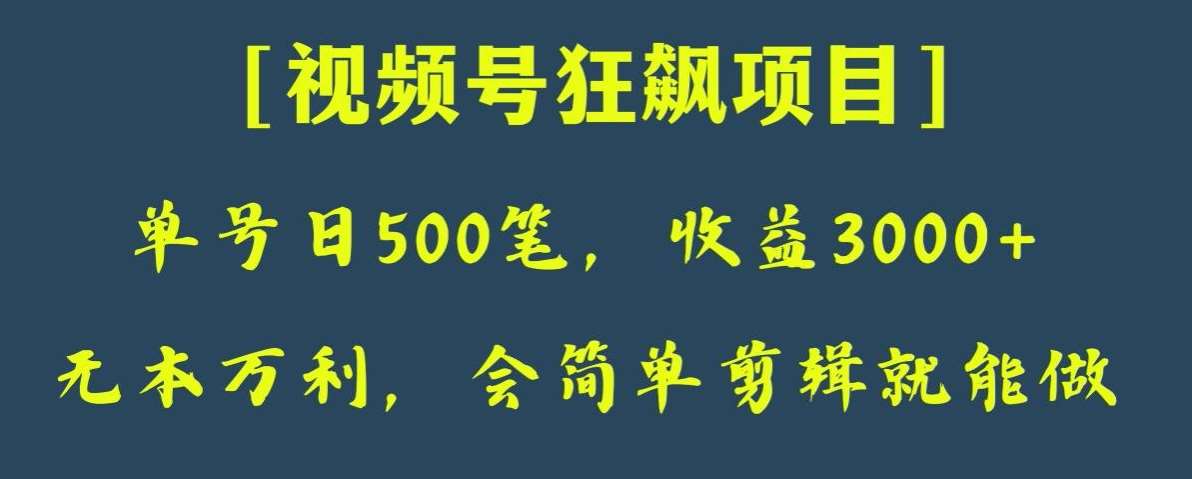 日收款500笔，纯利润3000+，视频号狂飙项目，会简单剪辑就能做【揭秘】-讯领网创