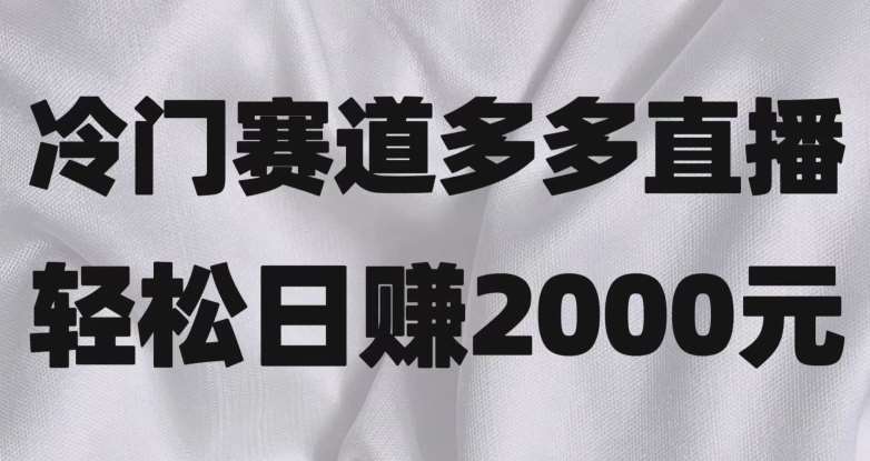 冷门赛道拼多多直播，简单念稿子，日收益2000＋【揭秘】-讯领网创
