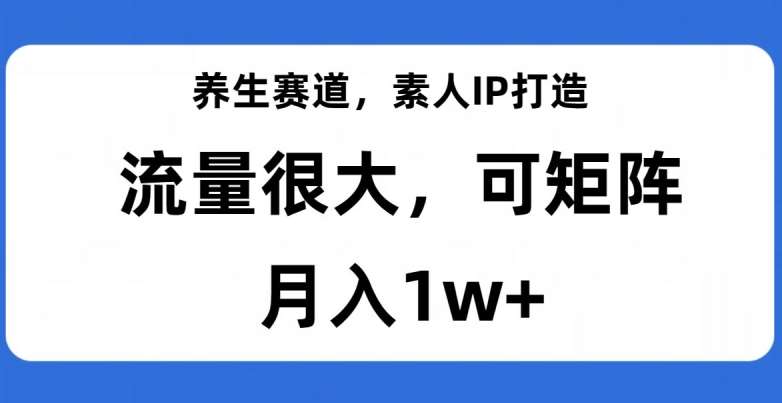 养生赛道，素人IP打造，流量很大，可矩阵，月入1w+【揭秘】-讯领网创