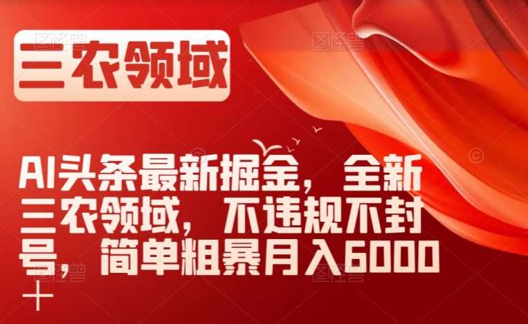 AI头条最新掘金，全新三农领域，不违规不封号，简单粗暴月入6000＋【揭秘】-讯领网创